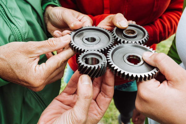 Sector Advocacy: Multiplying Impact through Professional Projects